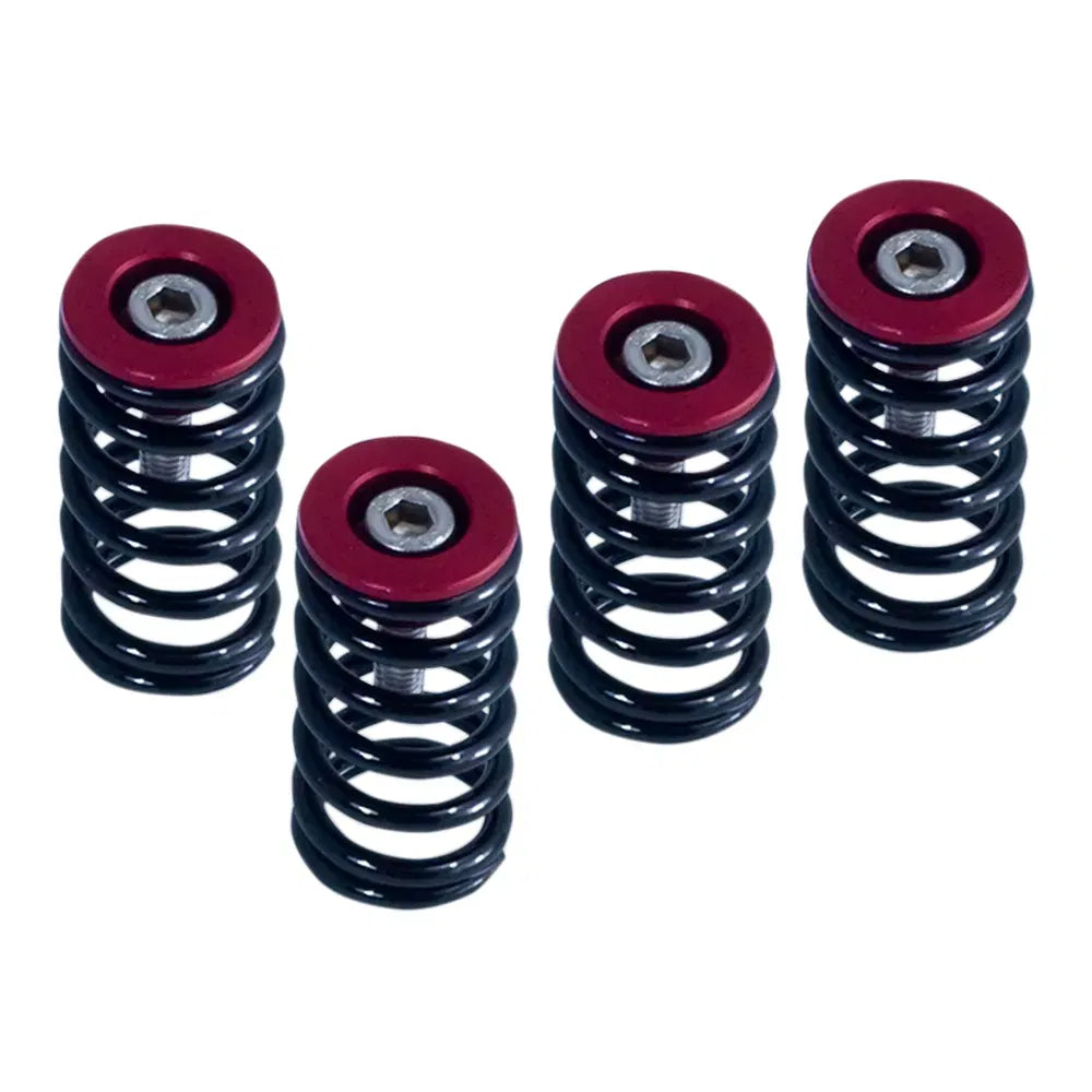 Clutch Springs
