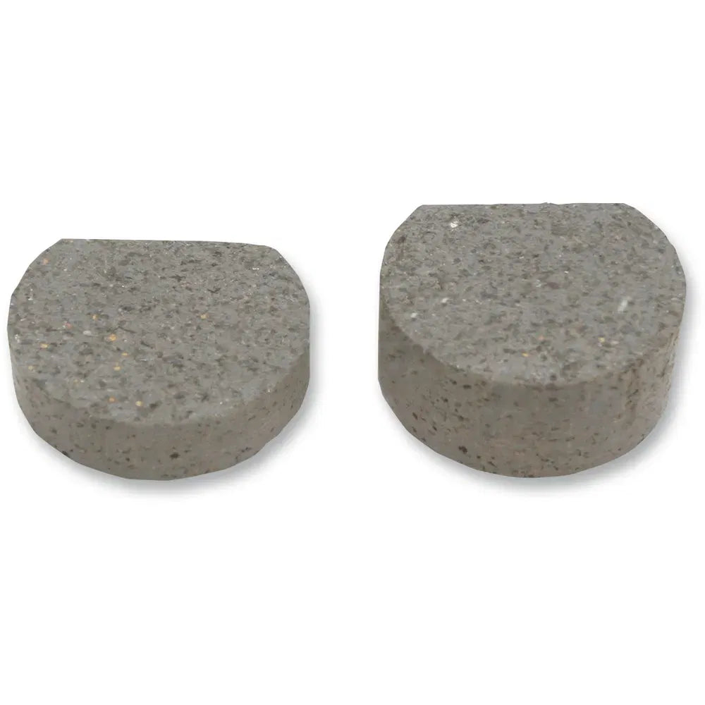 Pastillas de freno para motos de nieve - Pastillas de freno