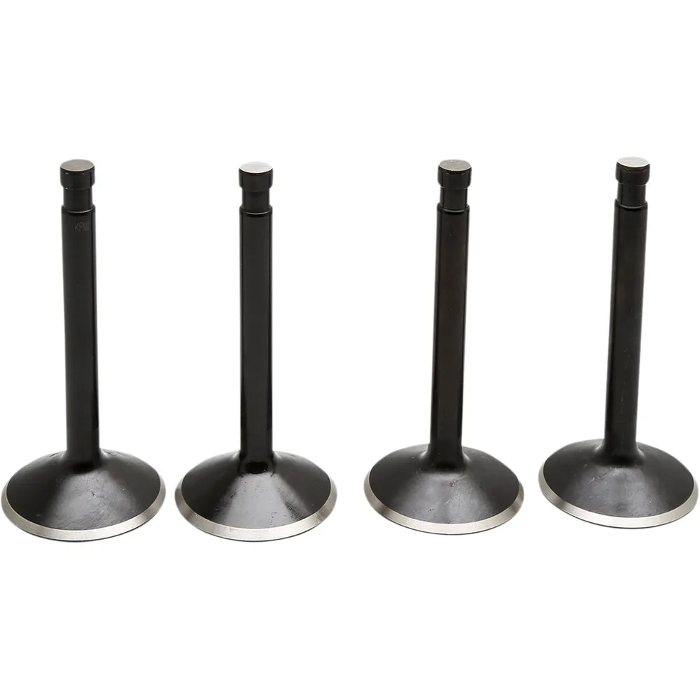 Valve Kit - Knucklehead