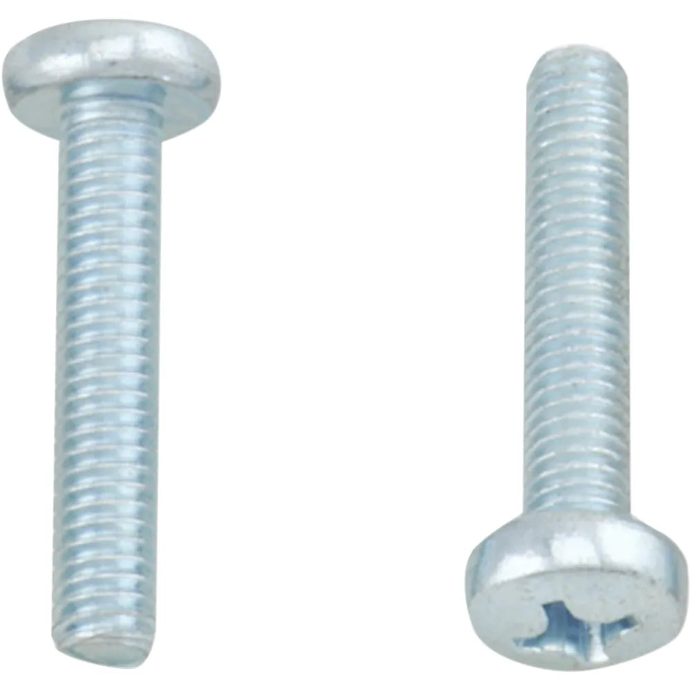 Screw Pan M6xp1.0x30