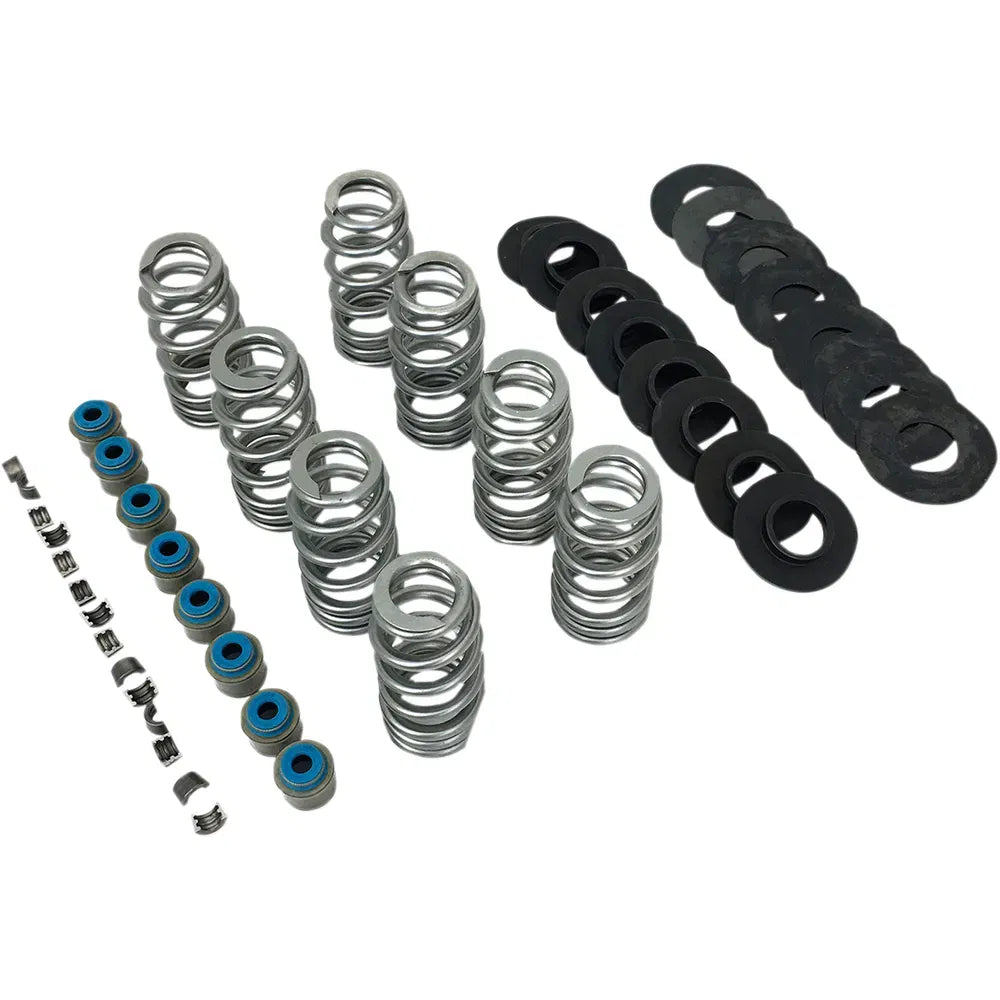 Beehive Valve Spring Kit - M8
