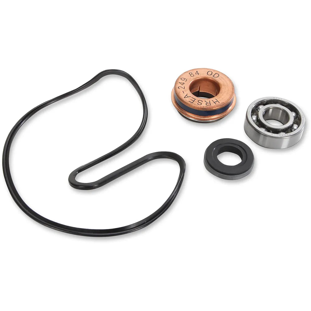 Water Pump Repair Kit - Polaris