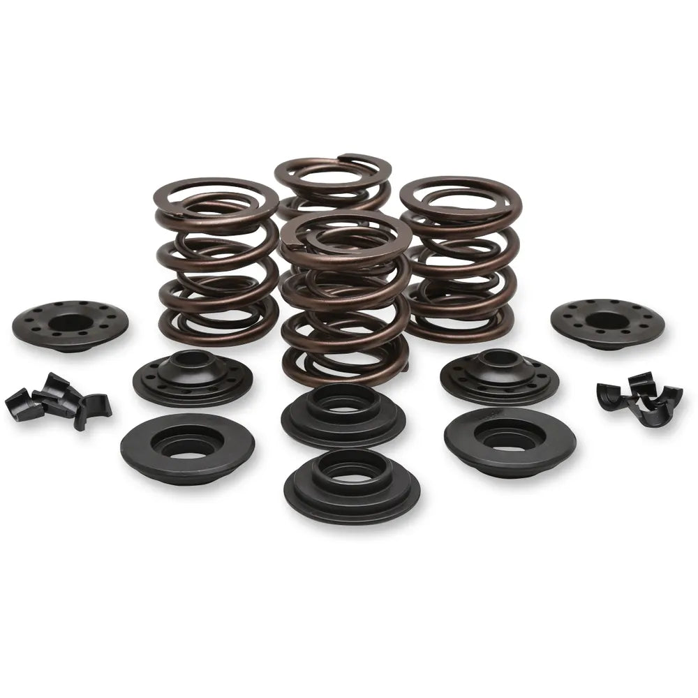 Valve Spring Kit - Big Twin50821127