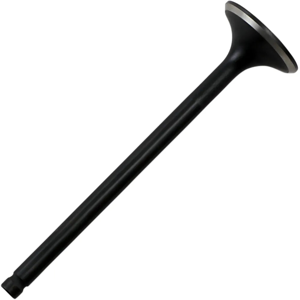 Intake Valve