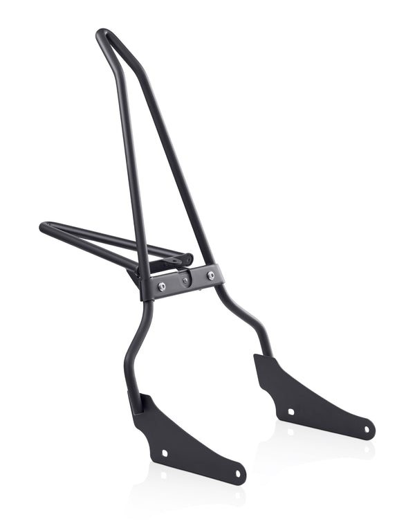 Sissy Bar Viking Bags Iron Born con parrilla plegable