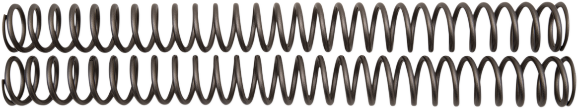 Front Fork Springs - 0.49 kg/mm
