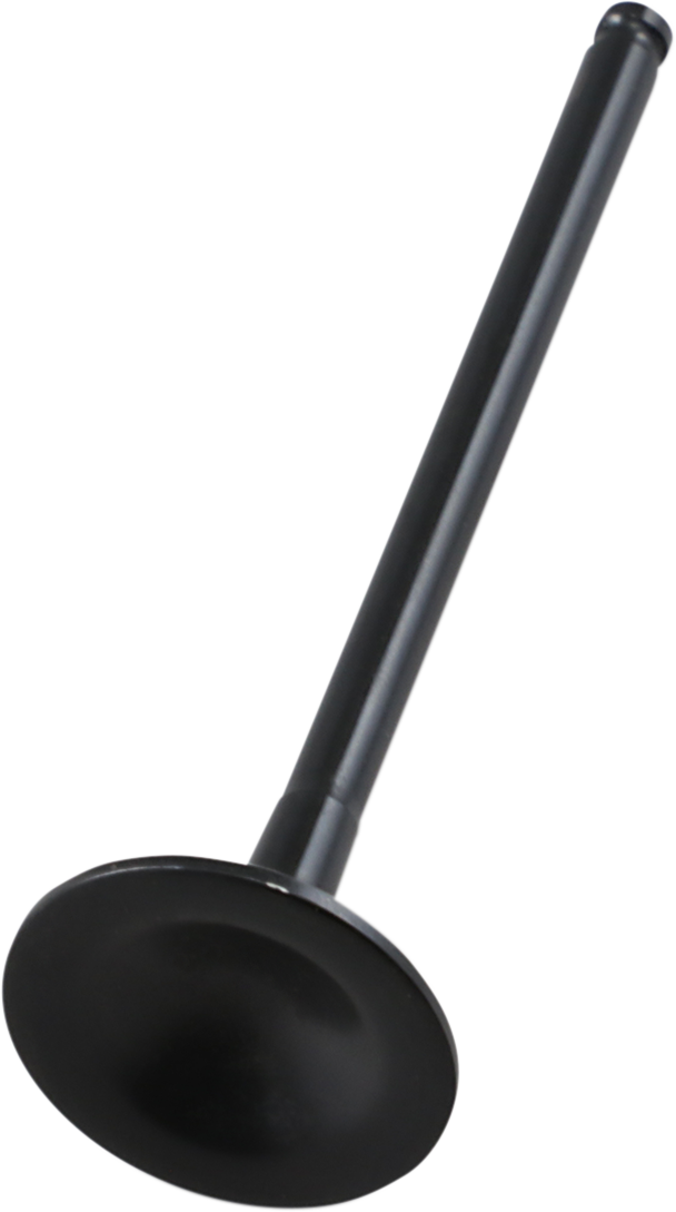 Exhaust Valve