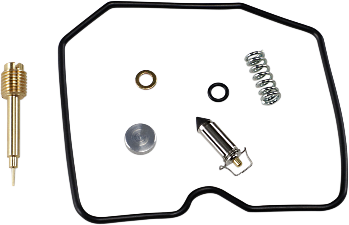 Economy Carburetor Repair Kit