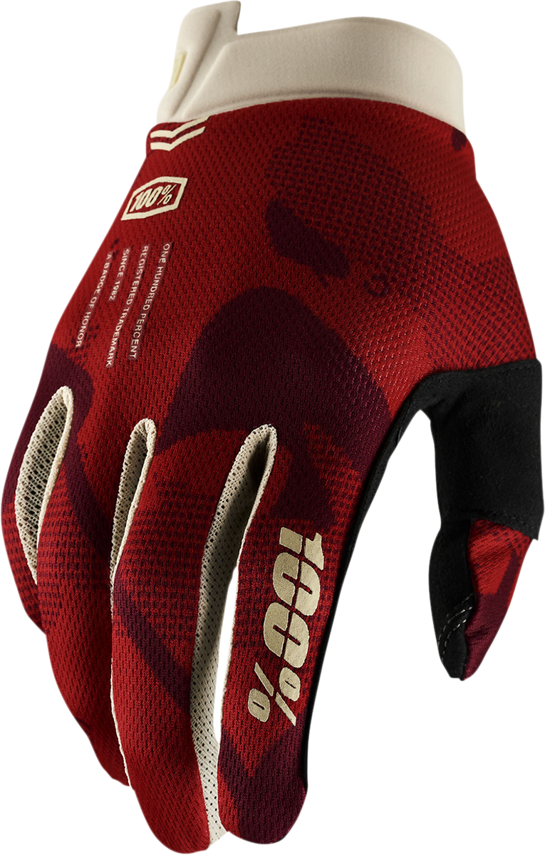 iTrack Gloves - Terra - Small
