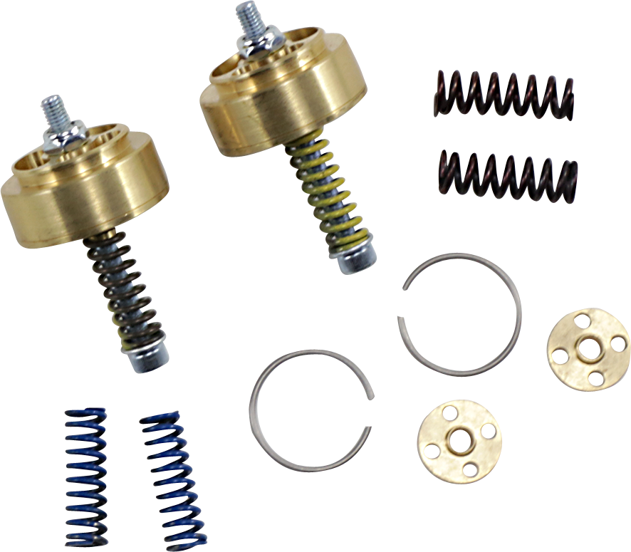 Gold Valve Cartridge Fork Emulators for Street/Track/Touring - 41 mm