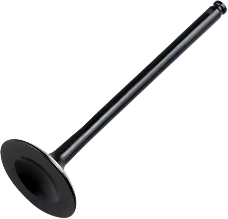 Exhaust Valve