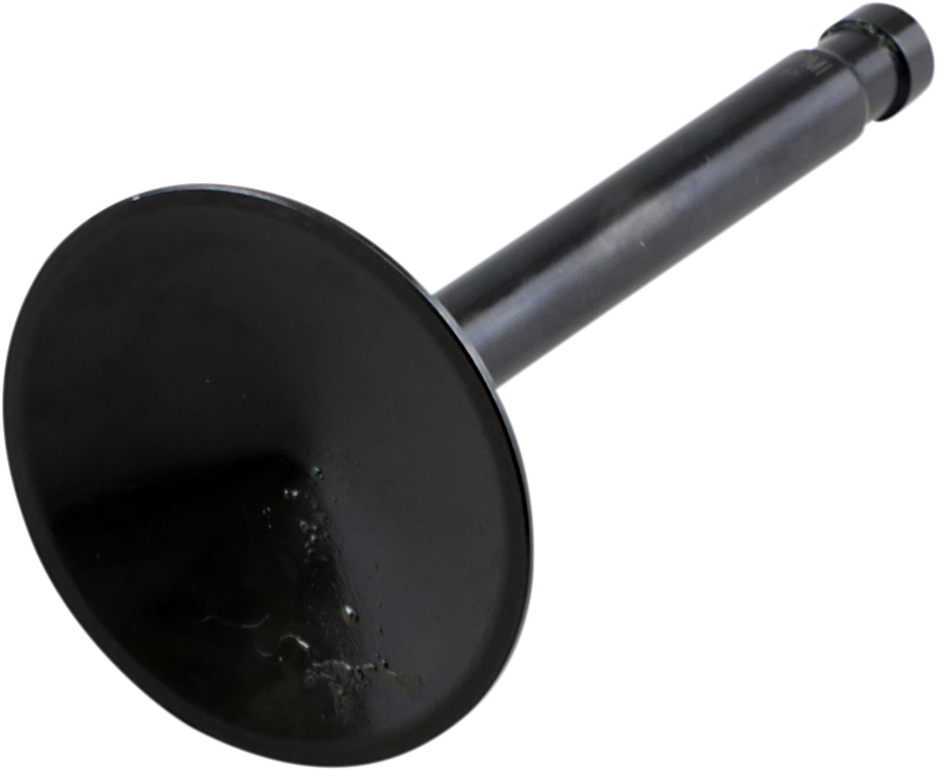 Intake Valve7387070