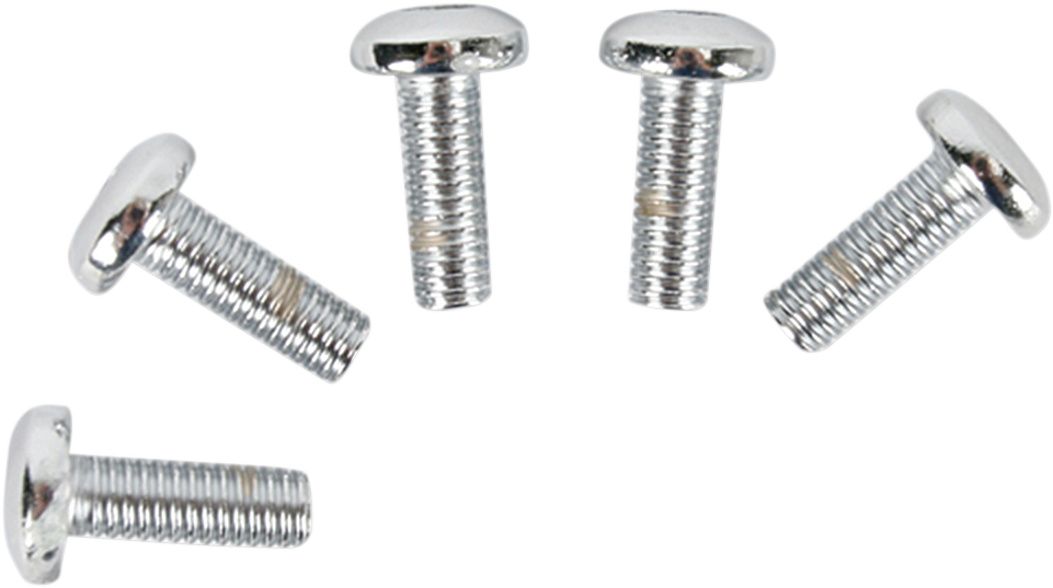 Bolt Set Rotor Cast Chrome5505794667