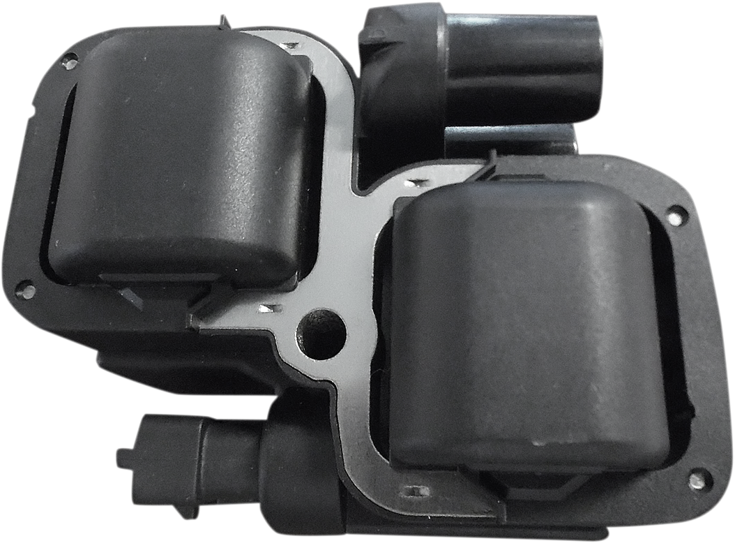 COIL INDIAN BLACK