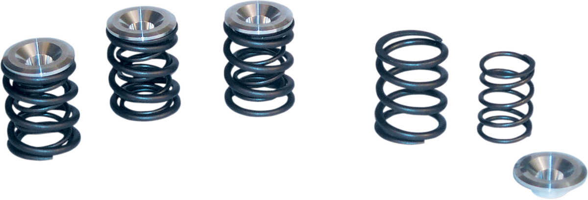 Valve Spring Kit - Big Twin