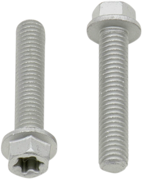 European Bolt M6x30 10-Pack