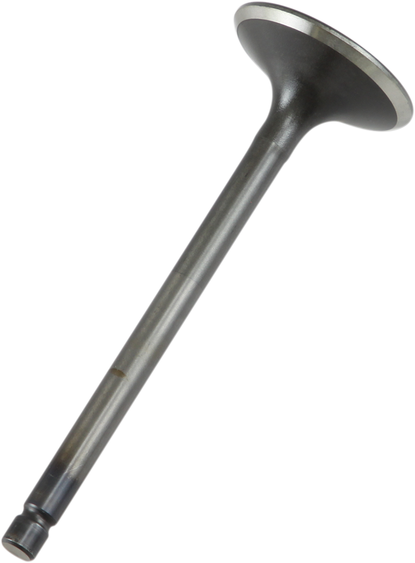 Exhaust Valve