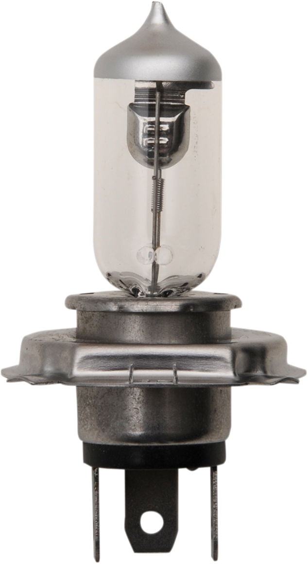 Bulb - H-4 Halogen - 10 Pack