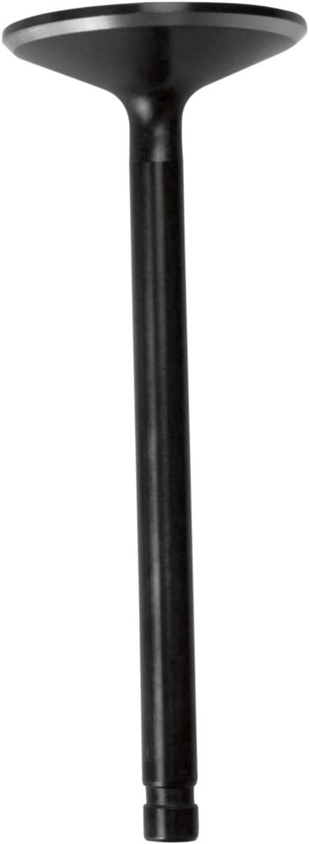 Intake Valve - XL696