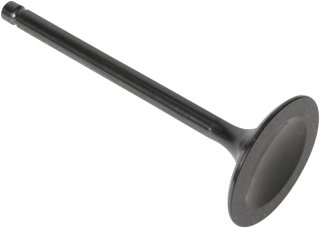 Intake Valve
