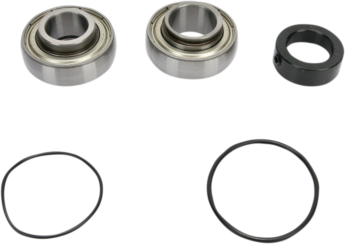 Chain Case Bearing and Seal Kit