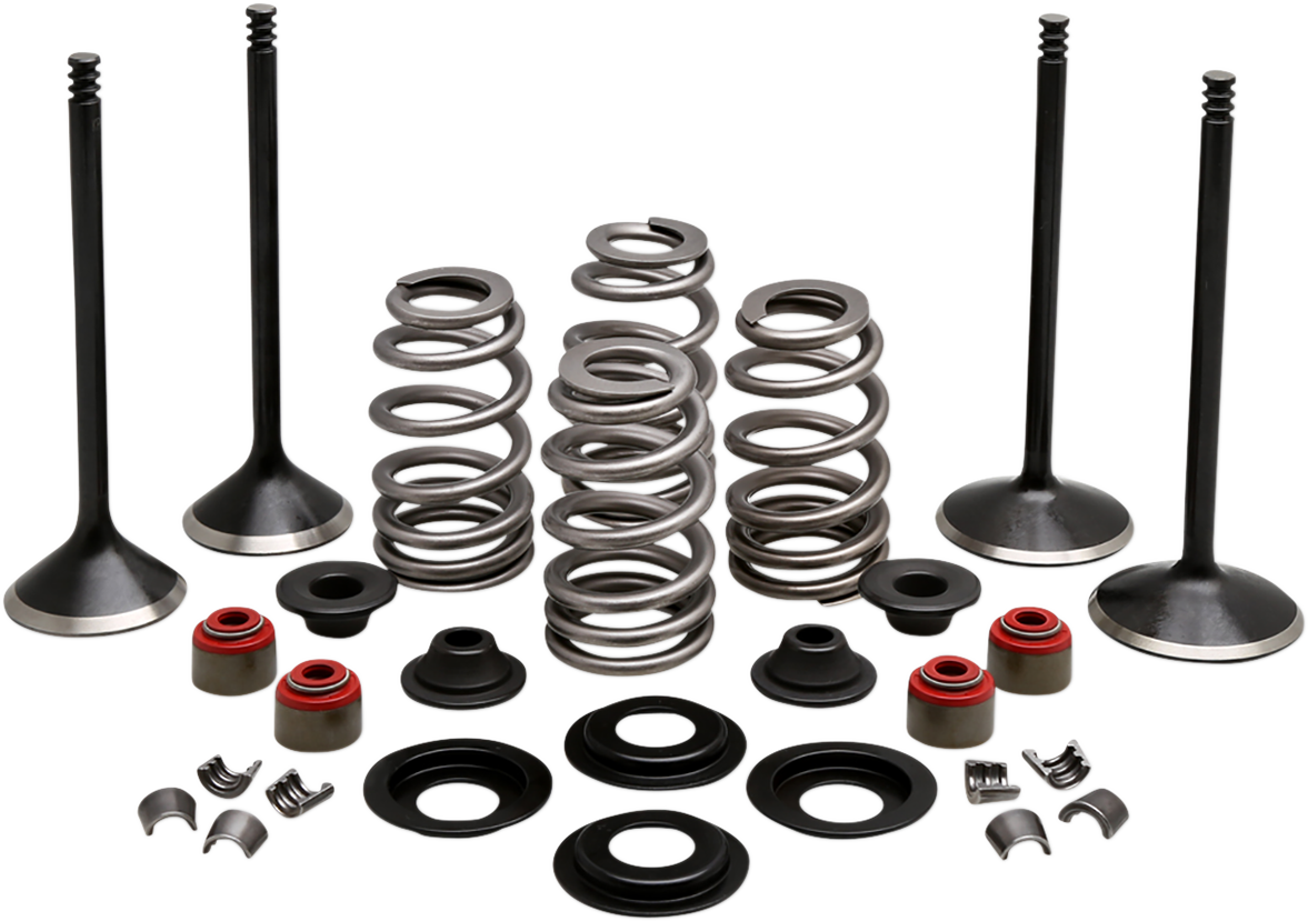 Complete Valve Kit - Twin Cam805