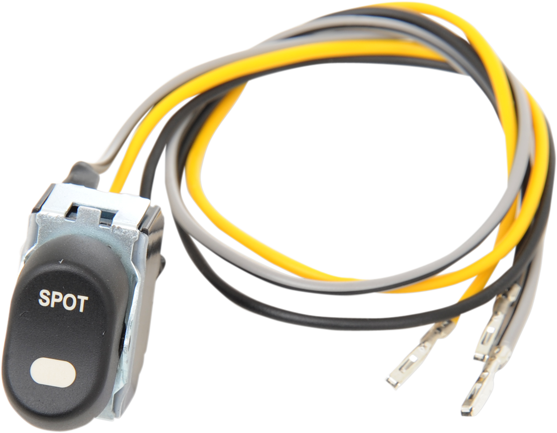 Spotight Rocker Switch - '96-'13 FLT