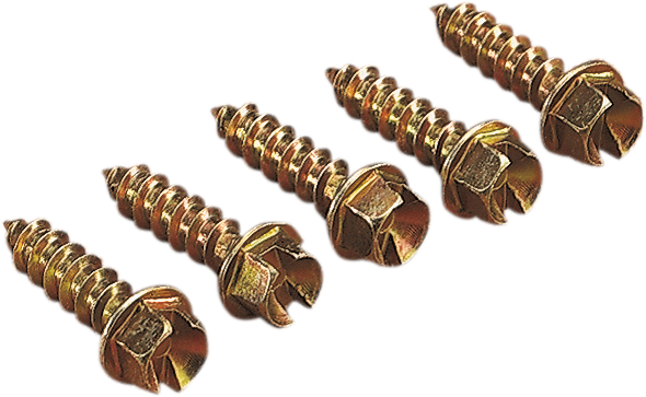 Ice Screws - Gold - 3/8" - 1000