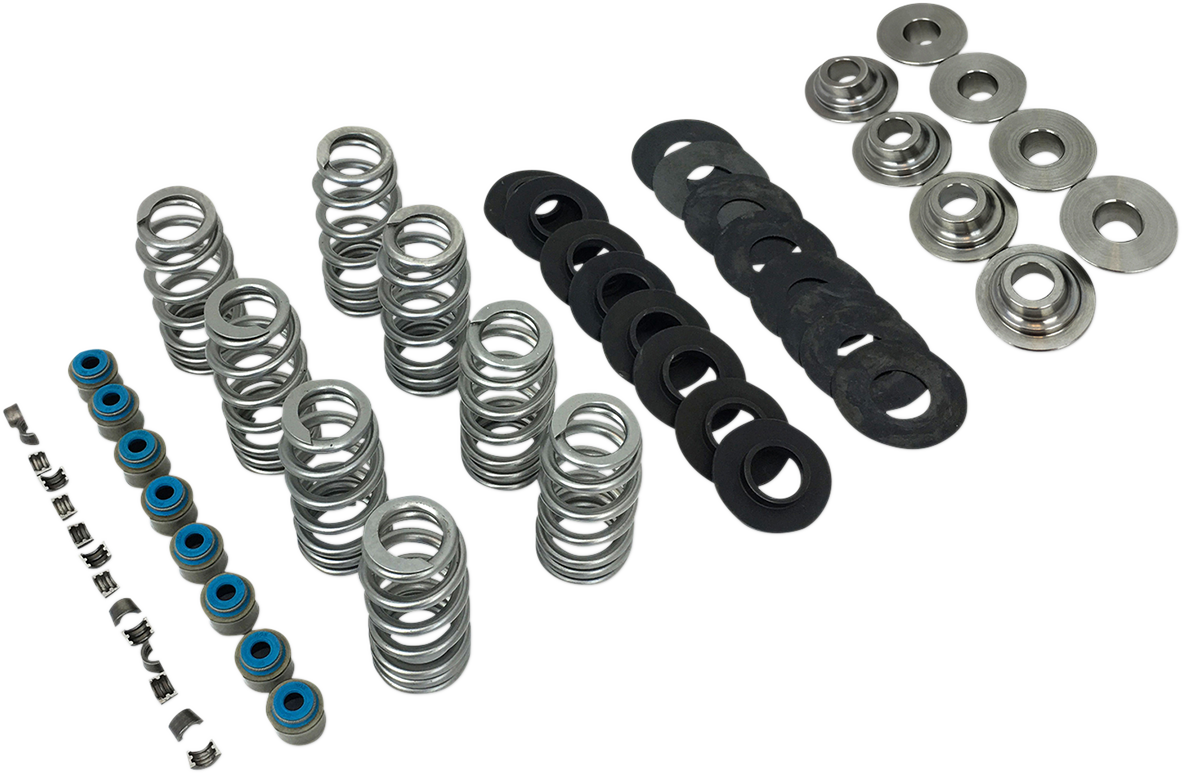 Beehive Valve Spring Kit - M8