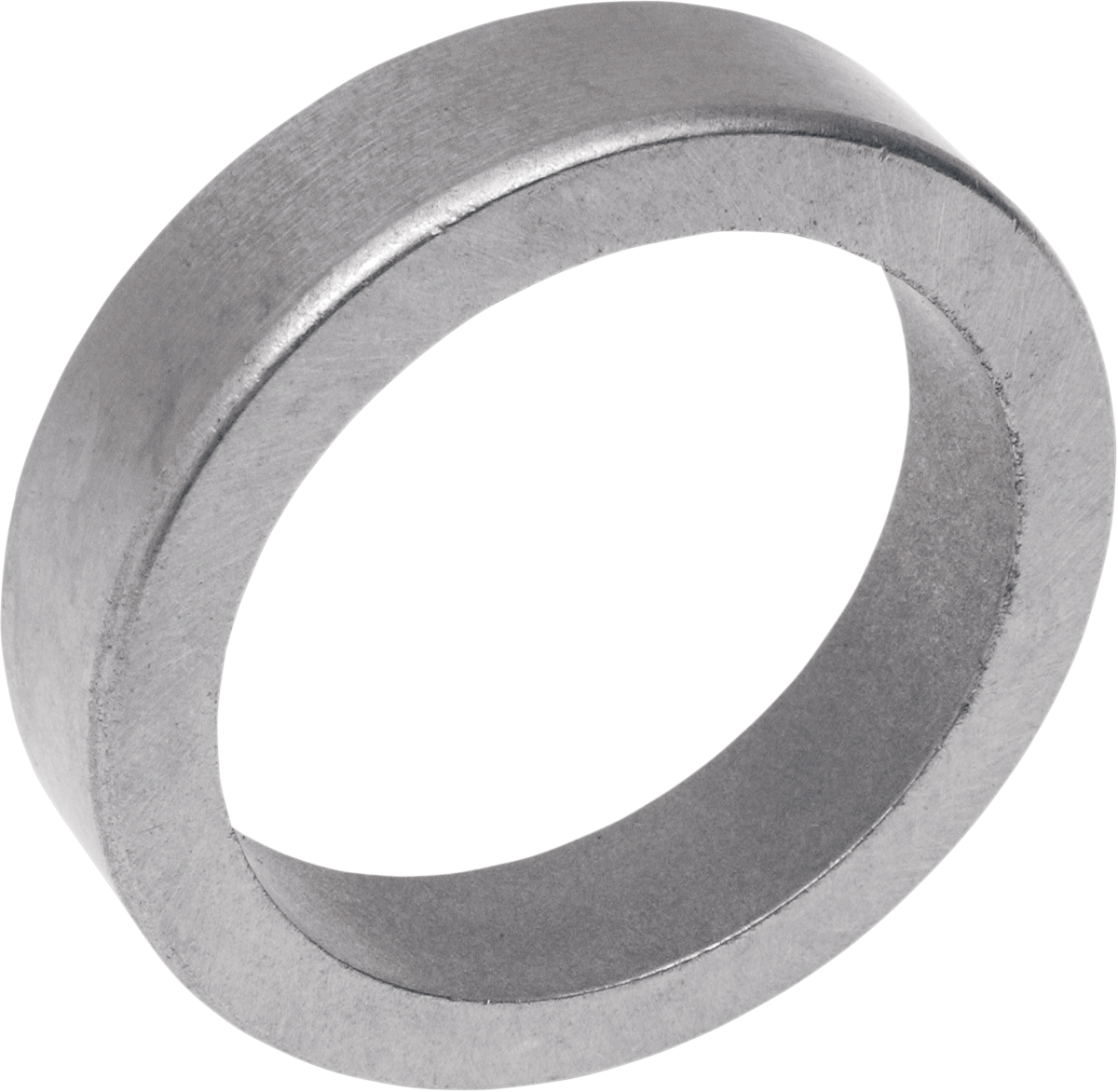 Cast Iron Valve Seat - Intake - Evolution6868931