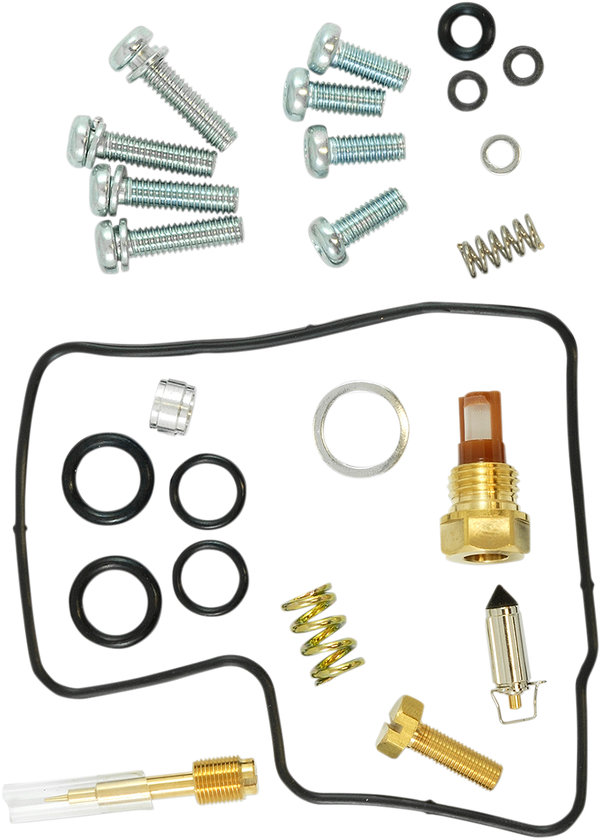 Economy Carburetor Repair Kit