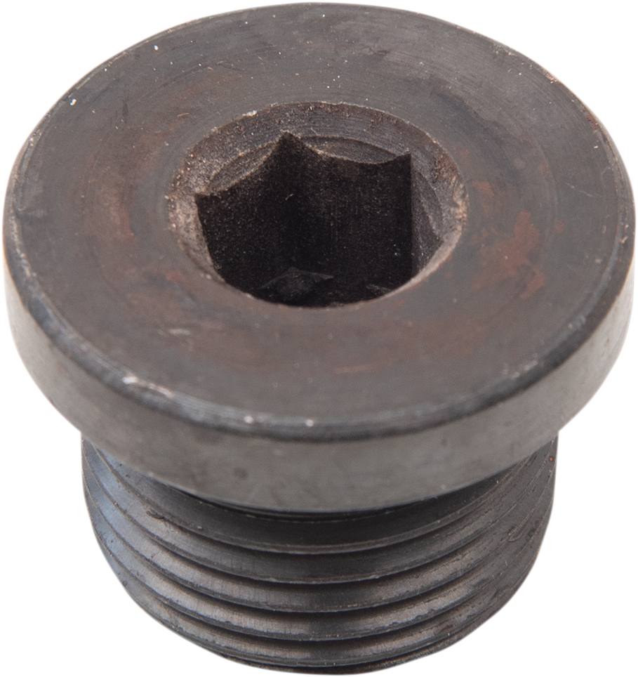 Hex Socket Plug - 18mm x 1.5mm