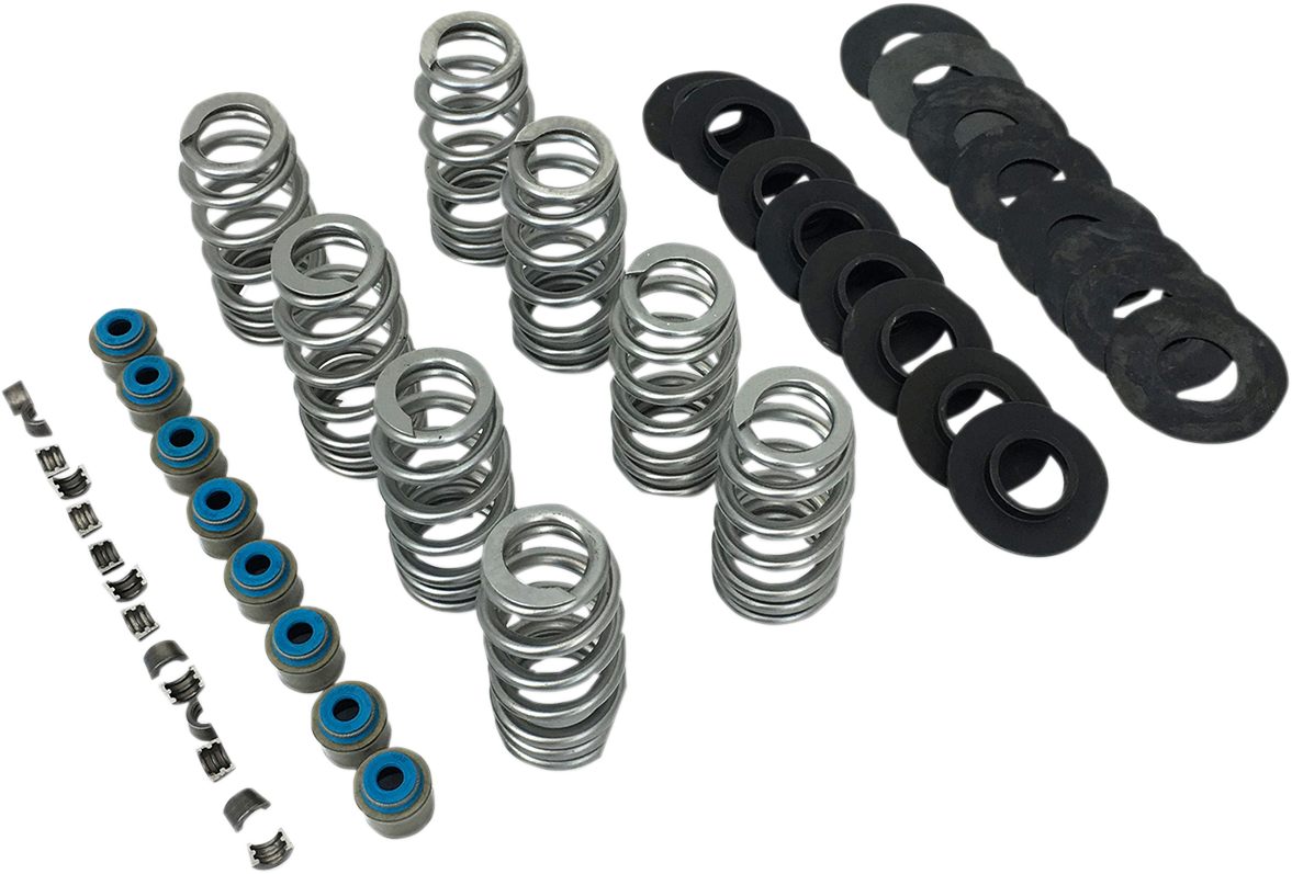 Beehive Valve Spring Kit - M8