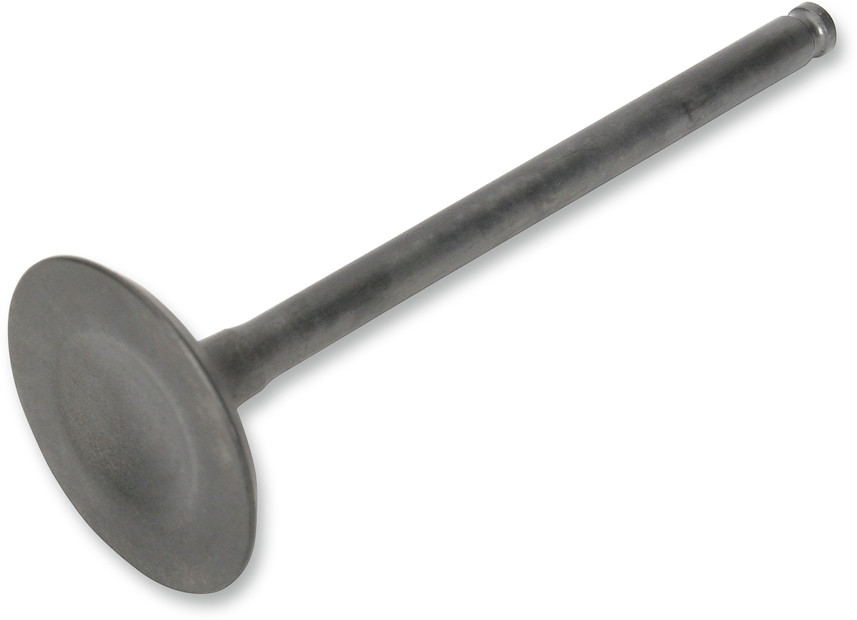 Exhaust Valve