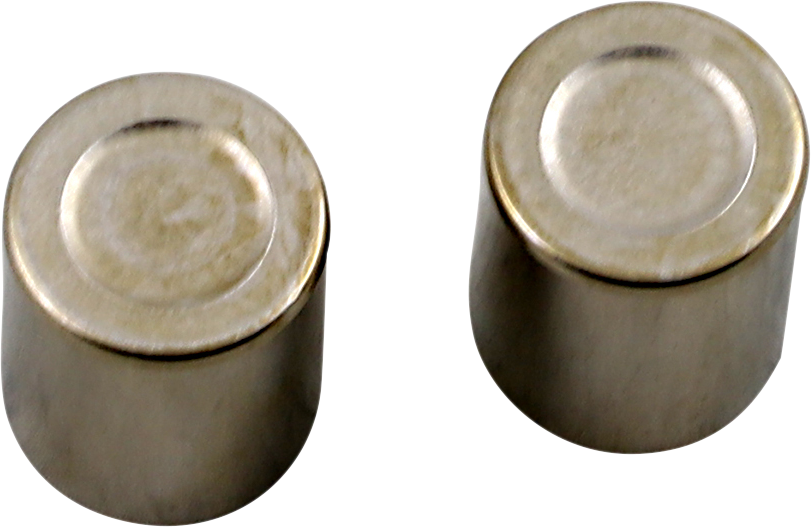 Brake Caliper Piston Kit - Honda