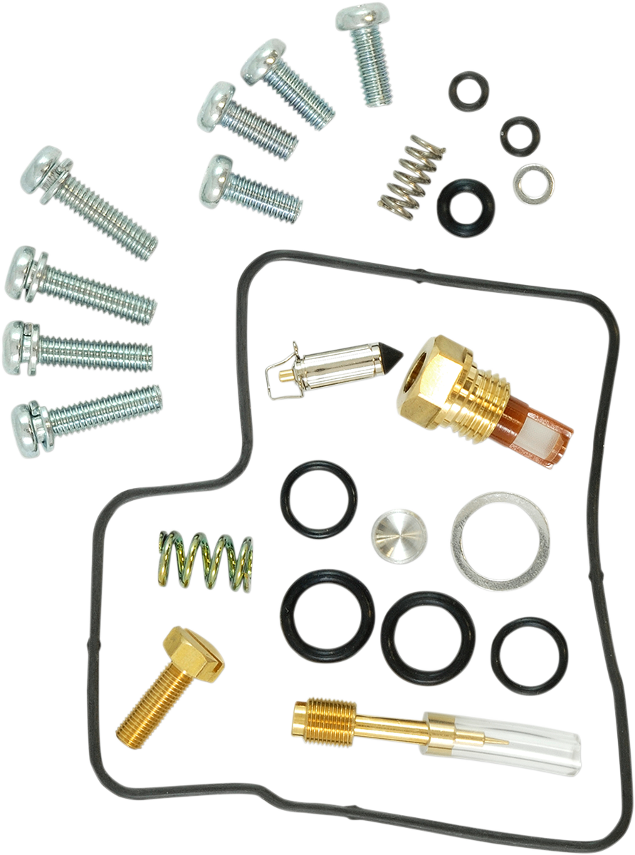 Economy Carburetor Repair Kit