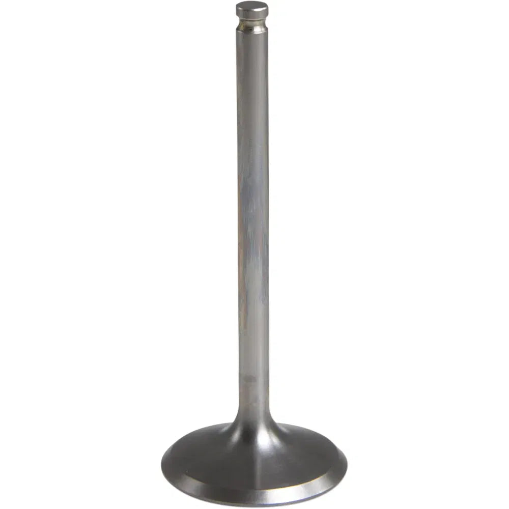 Exhaust Valve