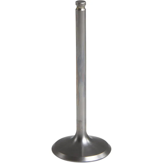 Exhaust Valve