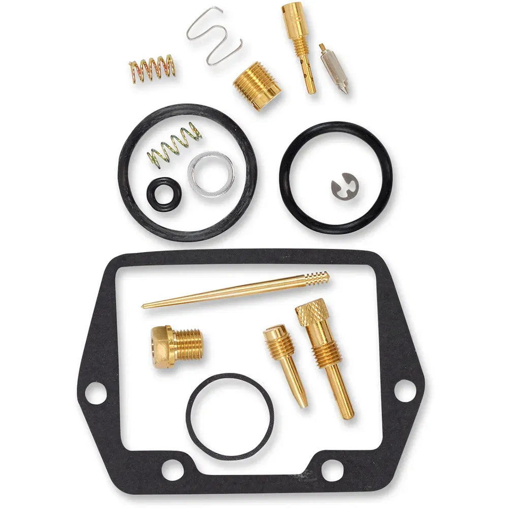 Carburetor Repair Kit