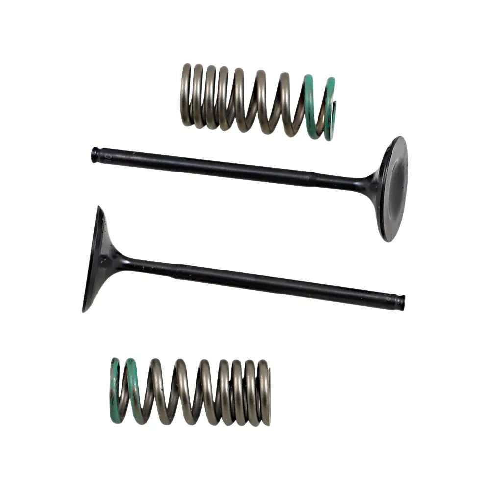Intake Valve and Spring Kit