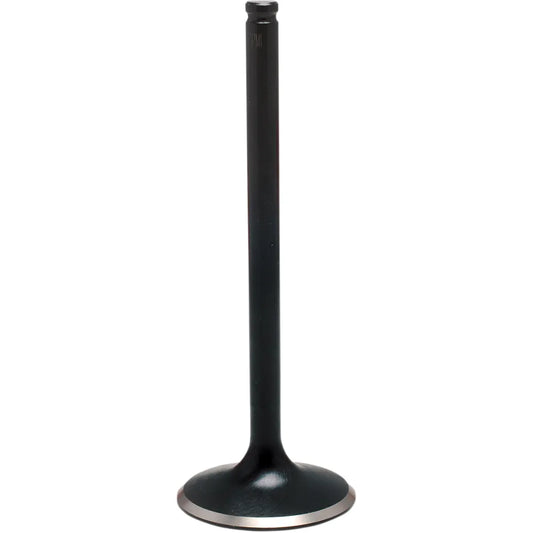 Exhaust Valve