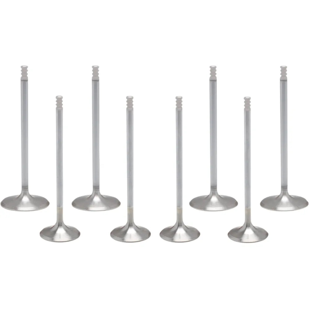 Valve Kit - M8