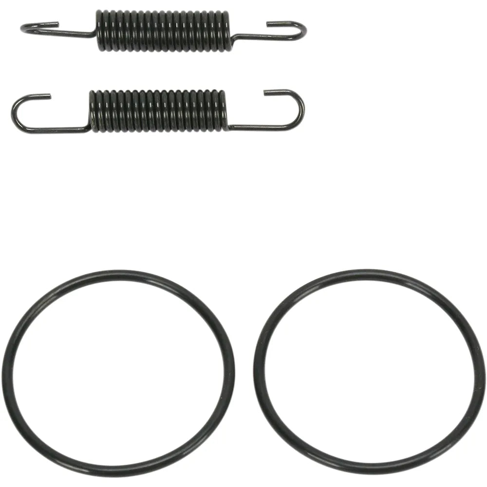 Spring and O-Ring Kit