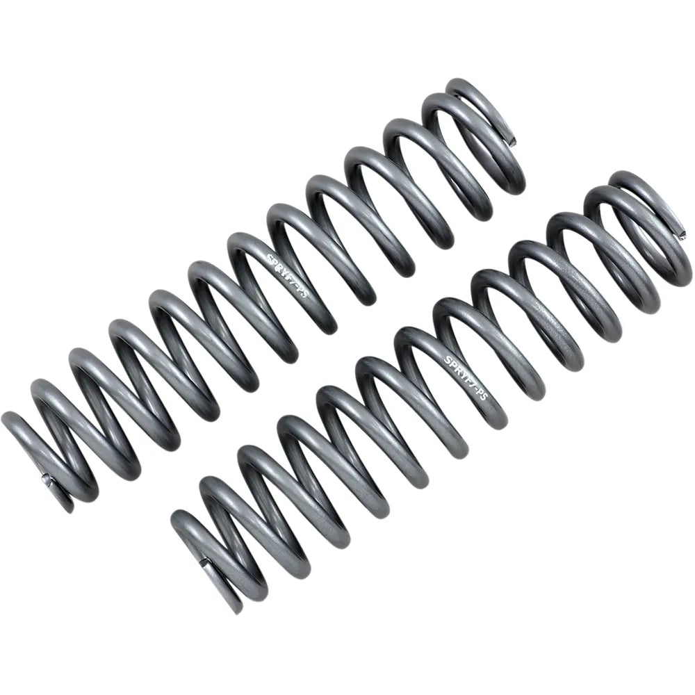 Front Shock Springs - Silver