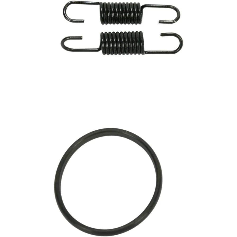 Spring and O-Ring Kit