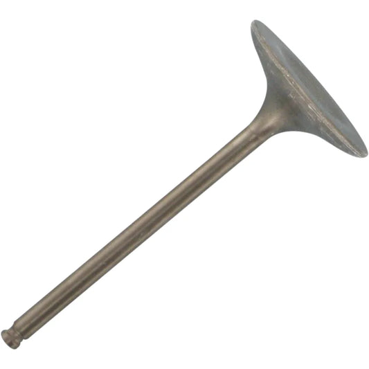 Intake Valve