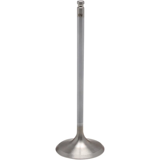 Exhaust Valve