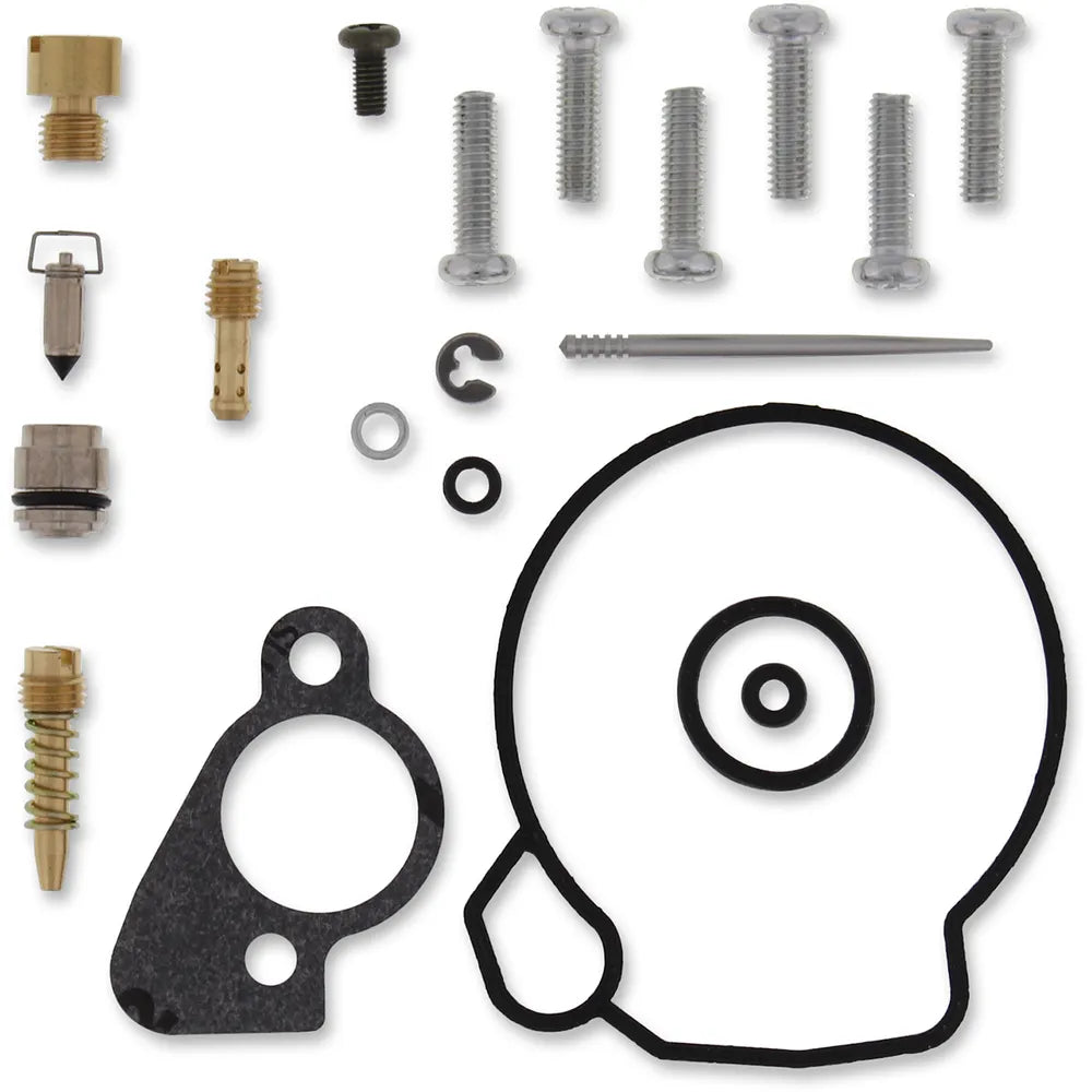 Kit de reparación de carburador - Polaris - Kit de reparación de carburador - Polaris