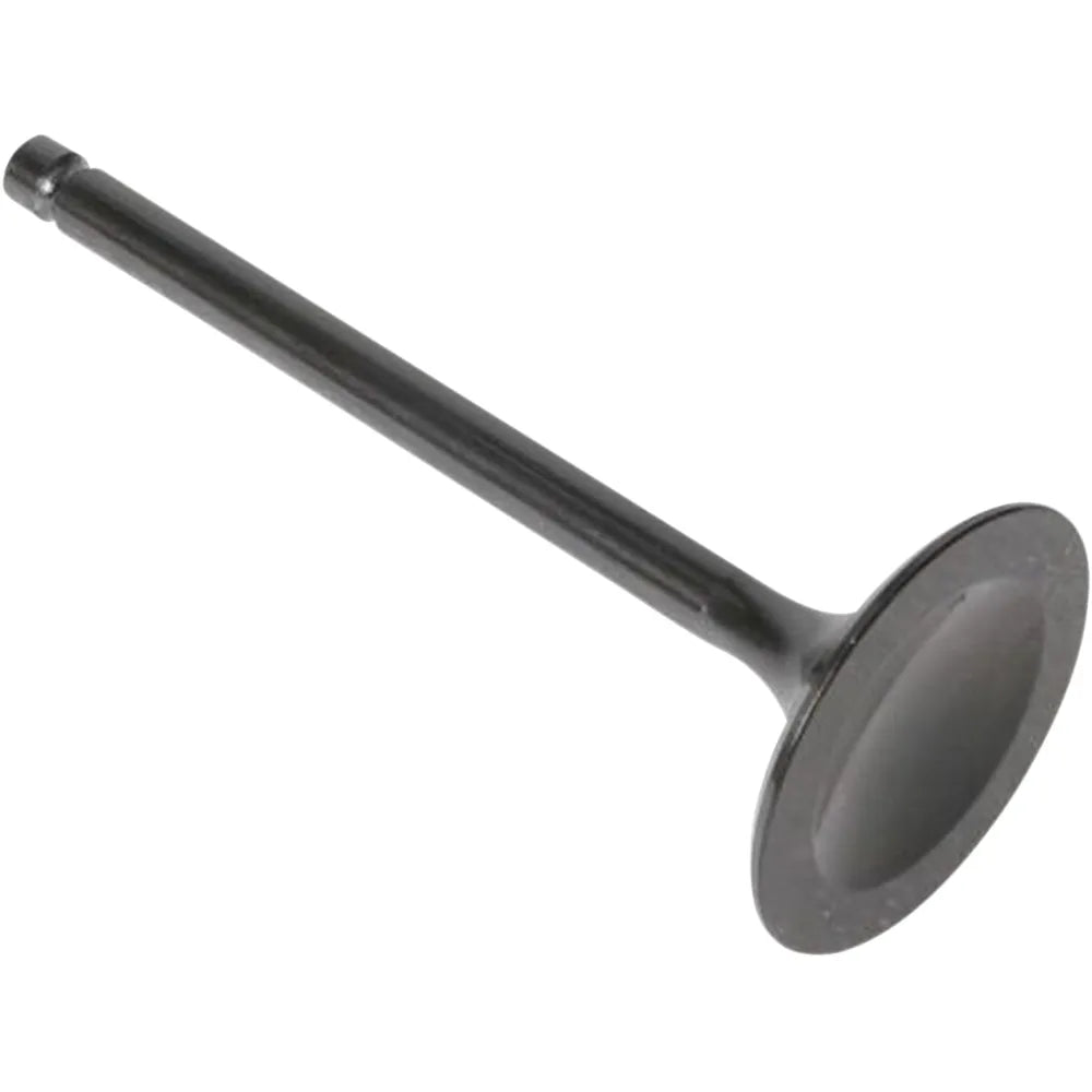 Intake Valve