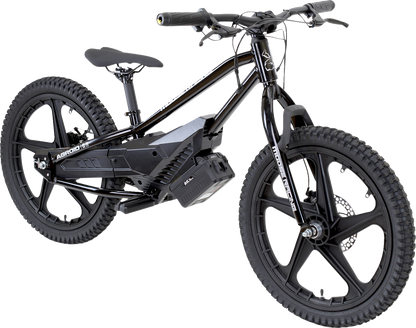 Bicicleta eléctrica de equilibrio Agroid RS-20